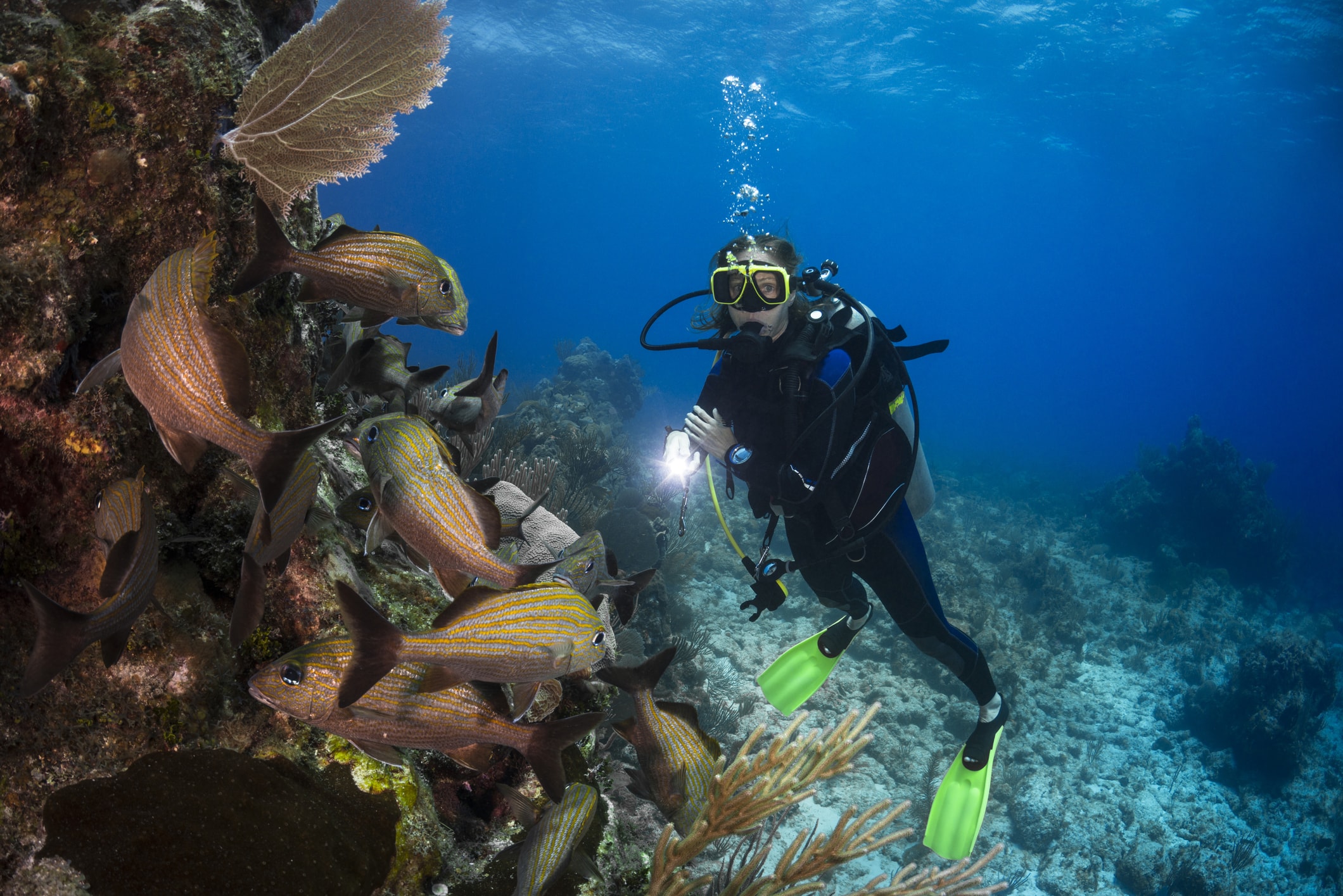 Key West Morning 2-Tank SCUBA Dive 2021 | Cool Key West