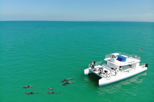 Key West Dolphin Watch Sunset Snorkel Cruise