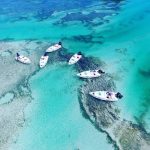 glass bottom boat tour miami