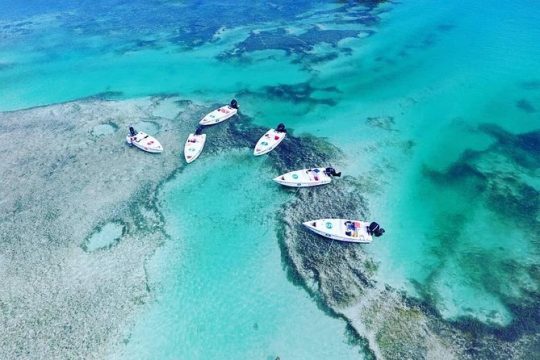 Key West Safari Snorkel Adventure