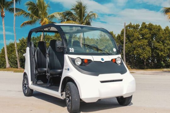 Battery car sales 4 seater