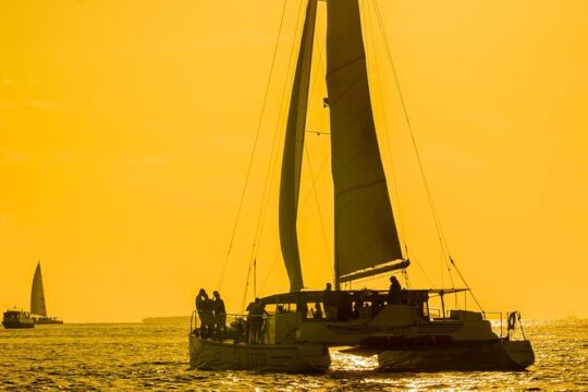Key West Catamaran Dolphin Watch & Sunset Sail