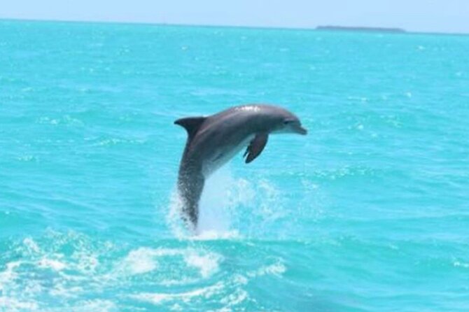 Key West Full-Day Catamaran Eco Tour Image 3
