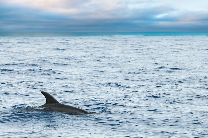 Key West Full-Day Catamaran Eco Tour Image 1