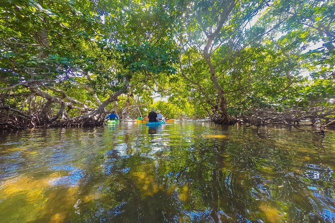 Key West Full-Day Catamaran Eco Tour Image 5