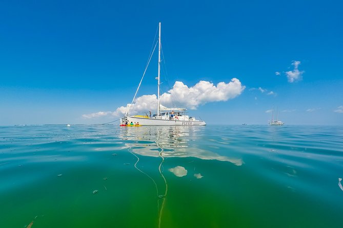 Key West Full-Day Catamaran Eco Tour Image 8