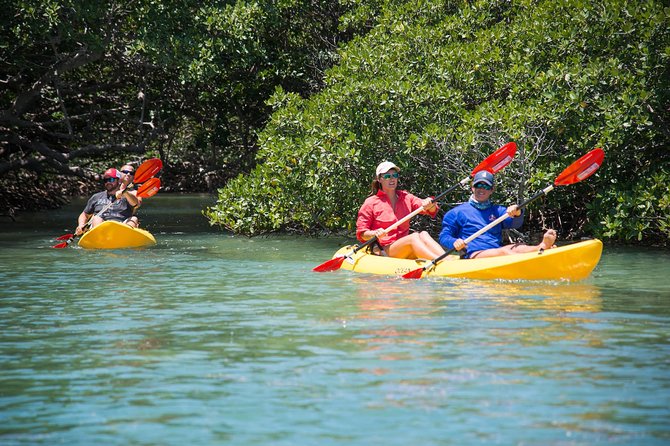 Key West Full-Day Catamaran Eco Tour Image 10