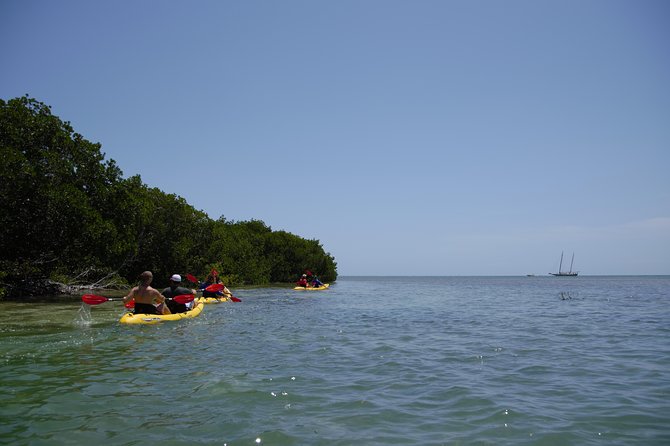 Key West Schooner Appledore Backcountry Eco-Tour: Sail, Snorkel & Kayak Image 5