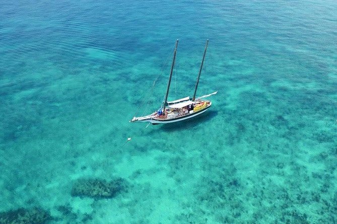 Key West Schooner Appledore Backcountry Eco-Tour: Sail, Snorkel & Kayak Image 7