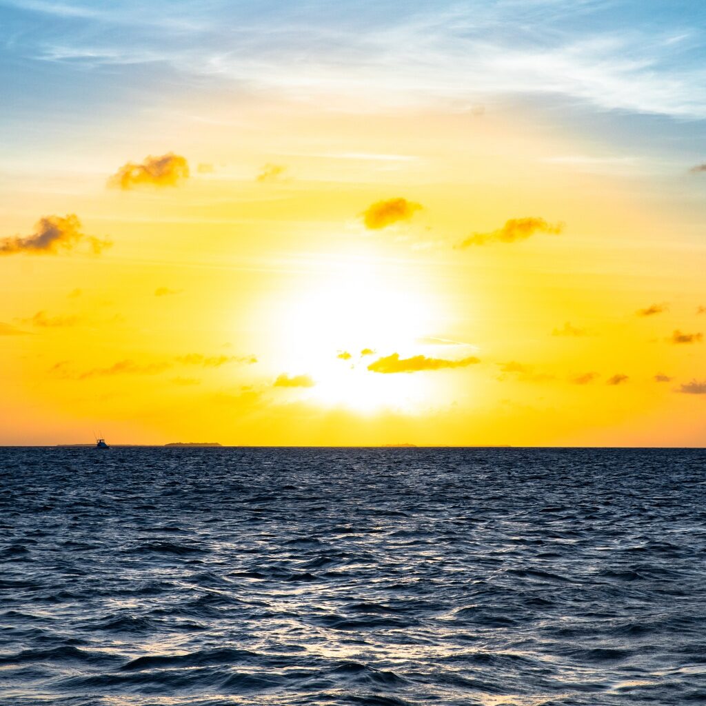 Key West Sunset Harbor Cruise with Premium Drinks, Hors-d’oeuvres and FREE shuttle to location Image 3