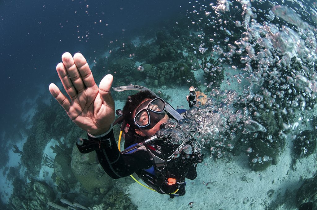 Key West Scuba Diving Refresher Course Image 1