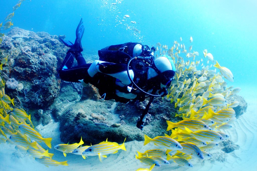 Key West Scuba Diving Refresher Course Image 3