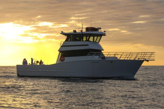 Key West Private Deep Sea Fishing Charter (up to 41 passengers)