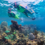 Sailing Tours