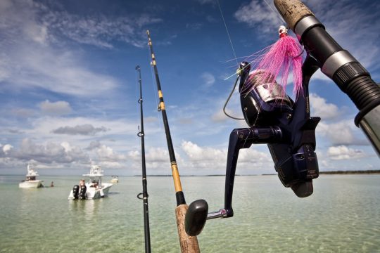 Fishing Charters – The Best in Key West