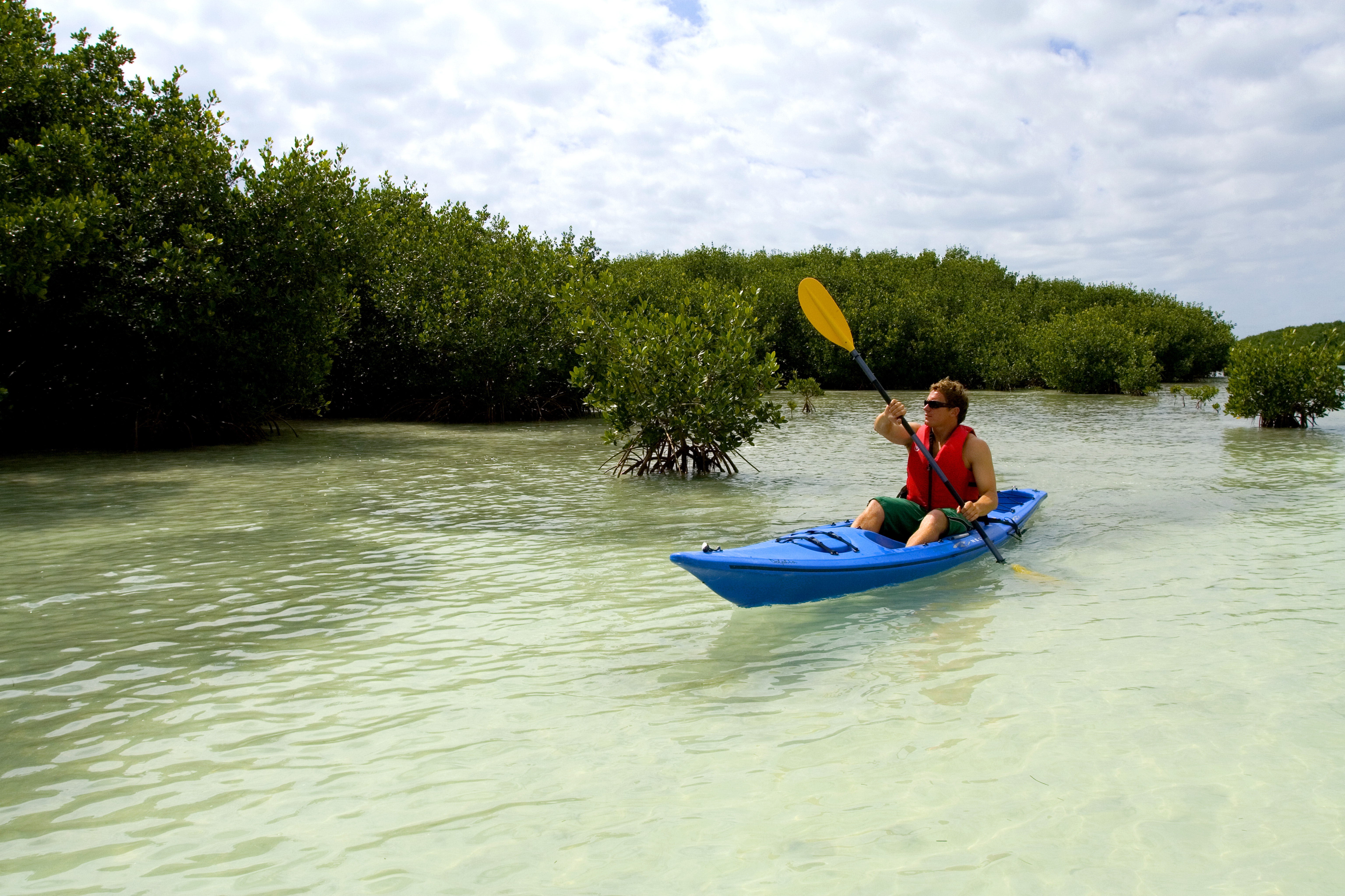 Get Wet and Wild in the Key West Backcountry Cool Key West