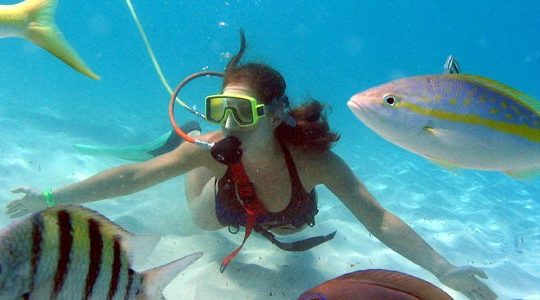 Key West Snuba® (No Dive Certification Required)