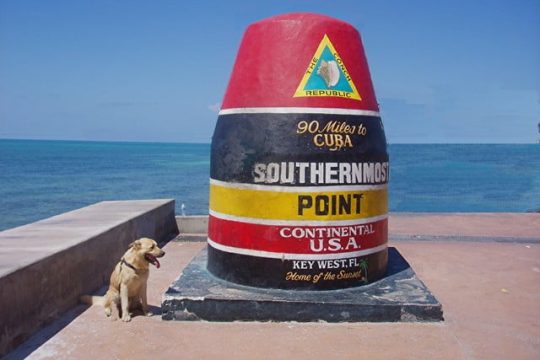 Bring a Friend When You Visit Dog-Friendly Key West