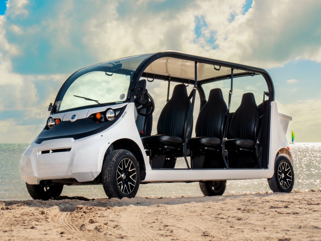 Electric Car Rentals